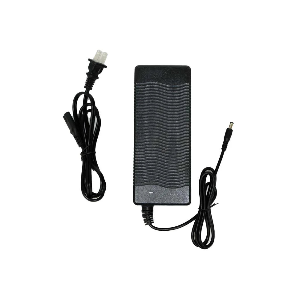 QL200 Charger